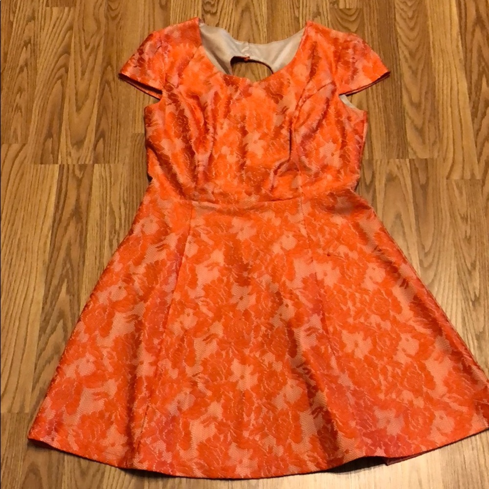 Coral lace fit and flare sz14